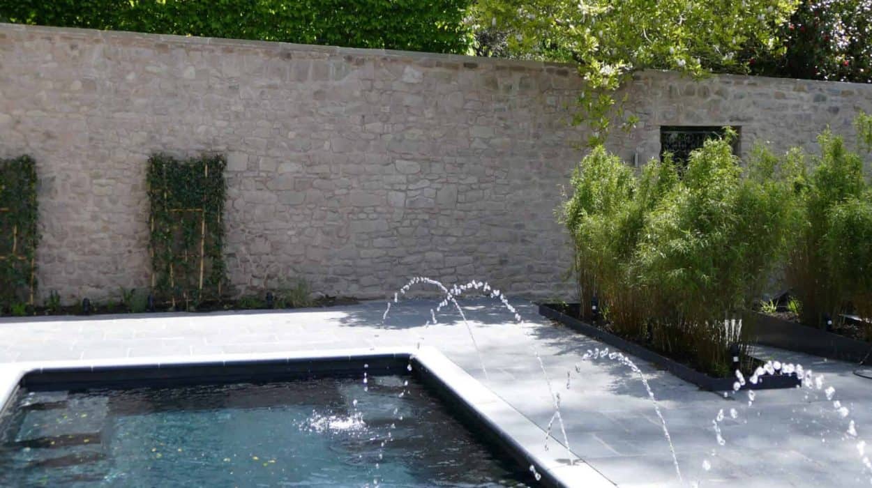Natural Pools blog post featured image
