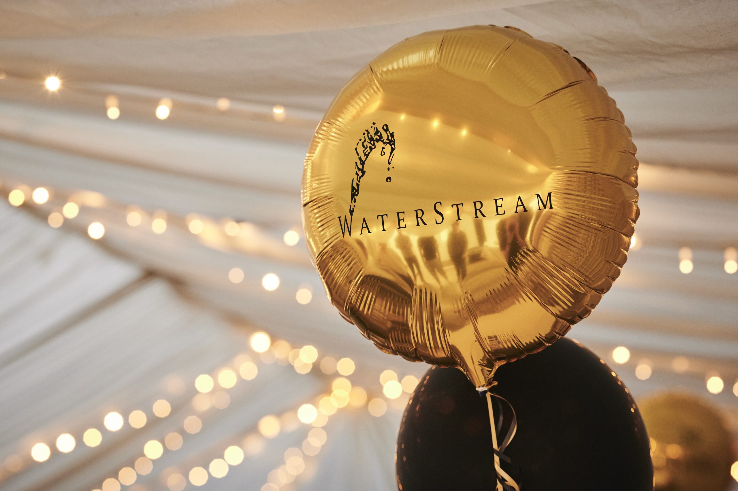 Waterstream Waterstream Celebrates 20 Year Anniversary | Compass Pools